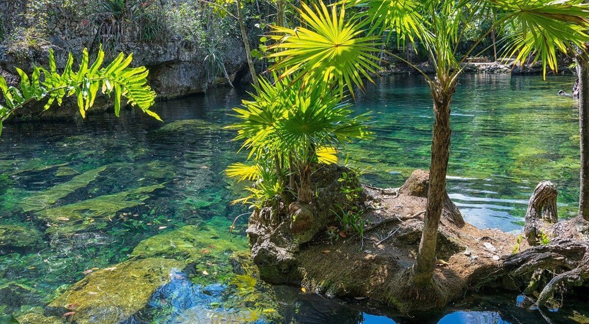 Découverte de la péninsule du Yucatan