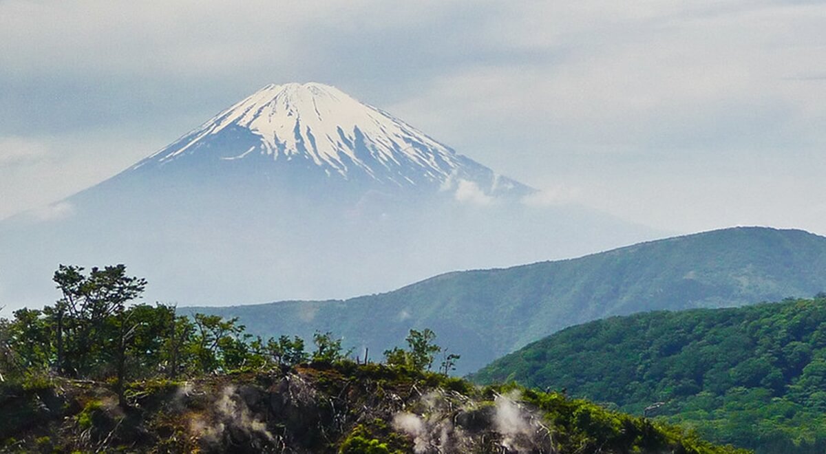 Top 3 des plus beaux parcs à visiter lors d'un séjour au Japon
