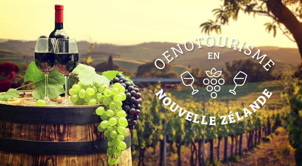 Oenotourisme en Nouvelle- Zélande :  « Des vignes au pays des All Blacks »