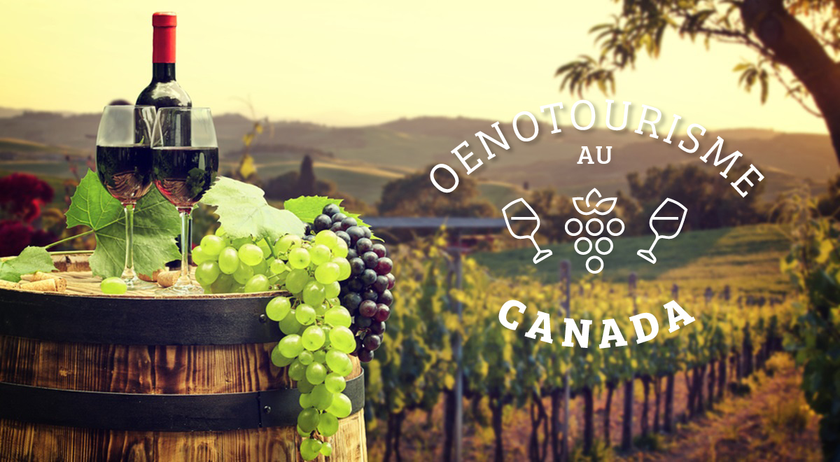 Oenotourisme au Canada  : Exploration canadienne,  vin de glace et des caribous