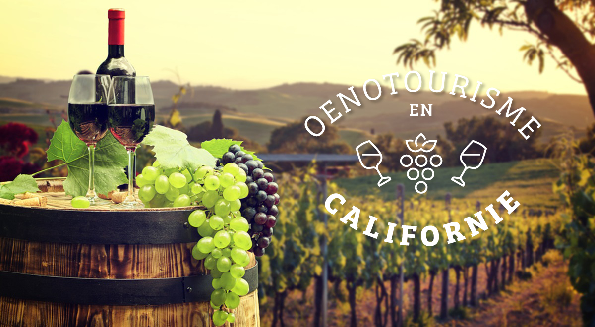 Oenotourisme en Californie  : « La Californie, maison des Cabernet américains »