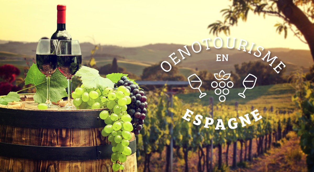 Oenotourisme en Espagne  : « Quand voyage et vin forment un beau couple … »