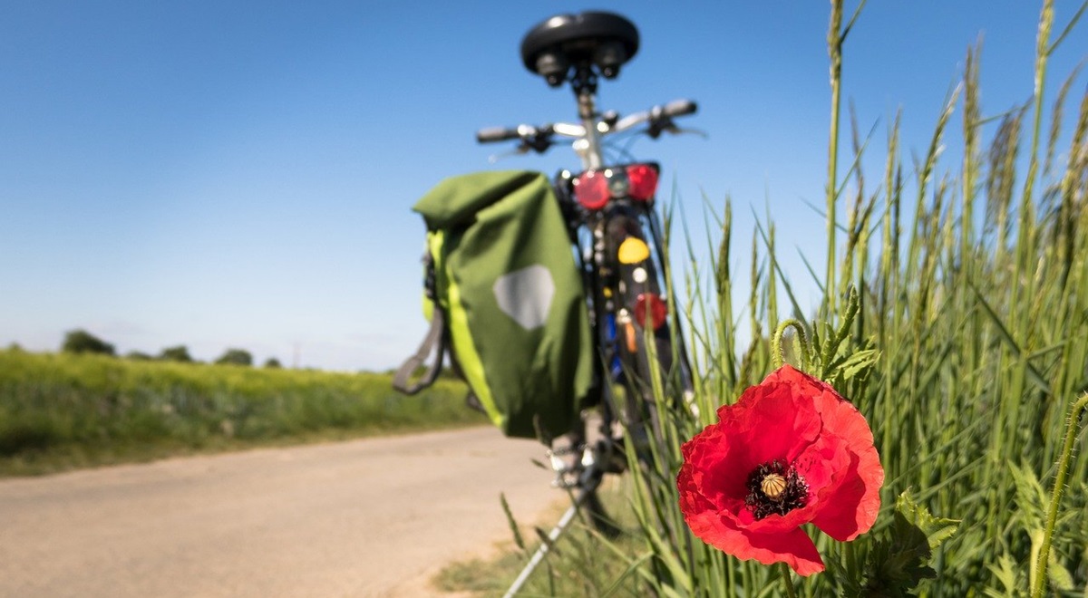 Les plus beaux circuits vélo du monde 