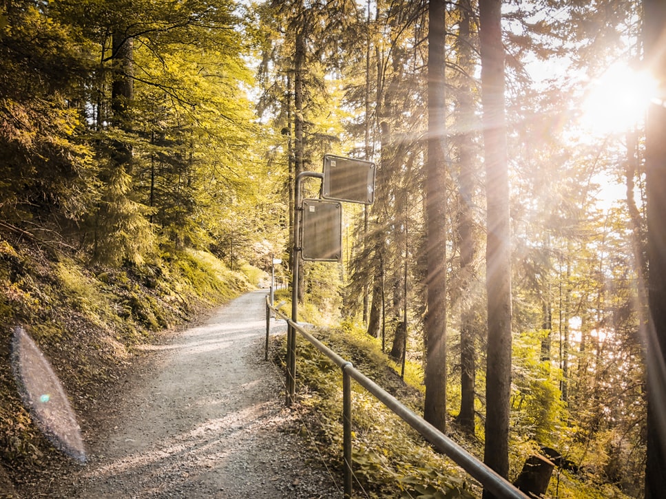 6 sorties atypiques pour visiter la Suisse autrement !
