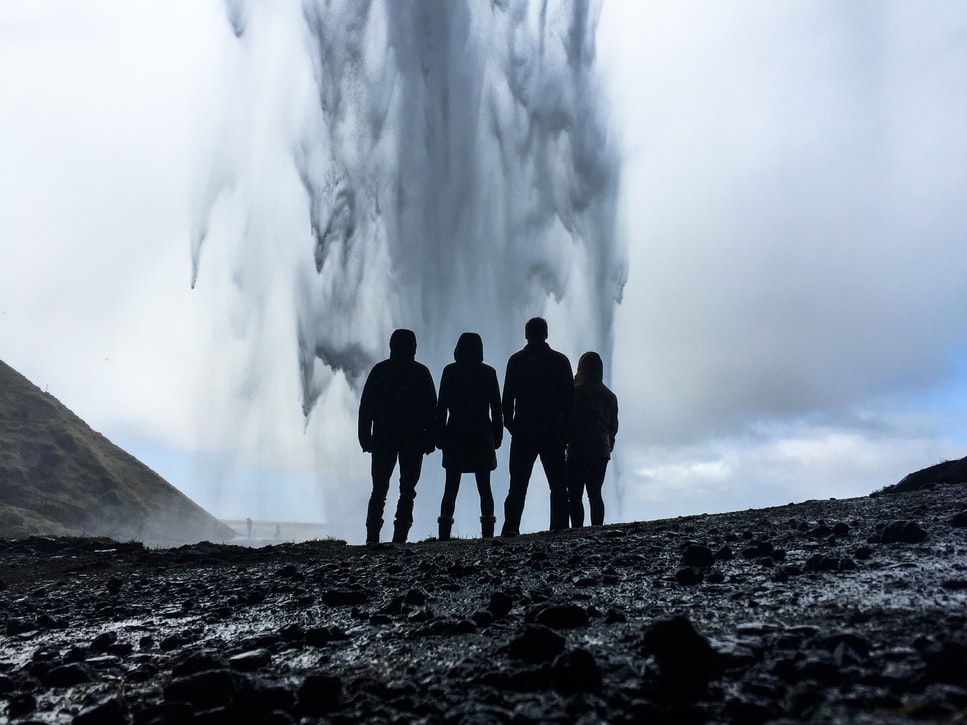 Partir entre amis, observer les baleines en Islande