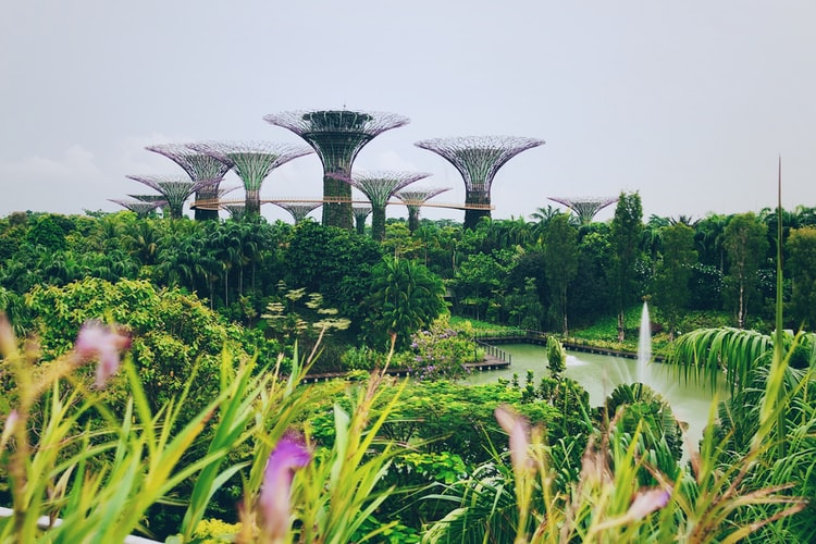 Singapour: climat et petits plus