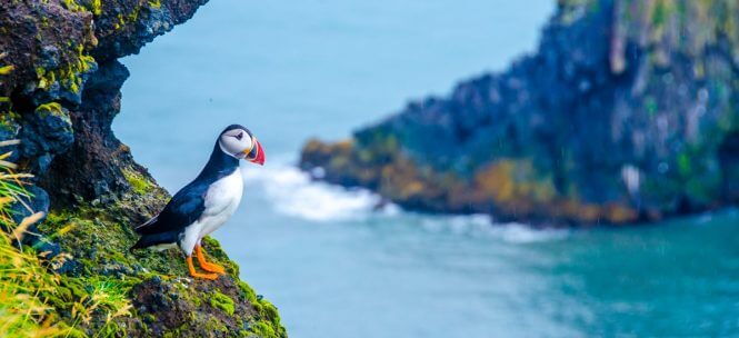 Ces lieux insolites à voir en Islande