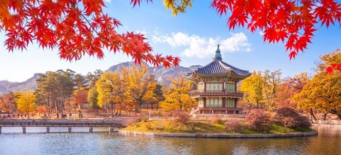 Visiter Seoul : cinq petites merveilles de la ville !