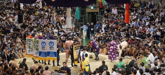 Tournois de Sumo au Japon : une expérience exceptionnelle !