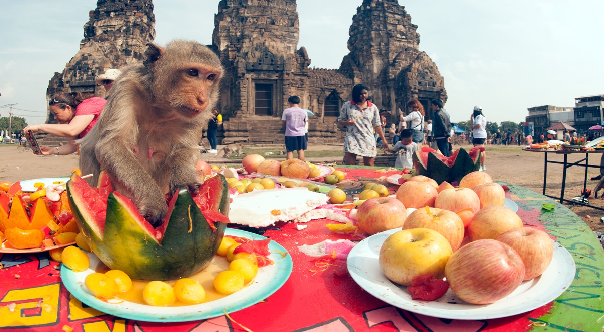 Les festivals et rassemblements les plus étranges du monde