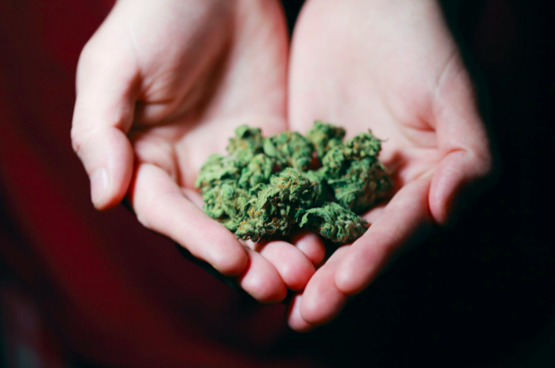 De nombreux fumeurs de cannabis touchés par le syndrome cannabinoïde