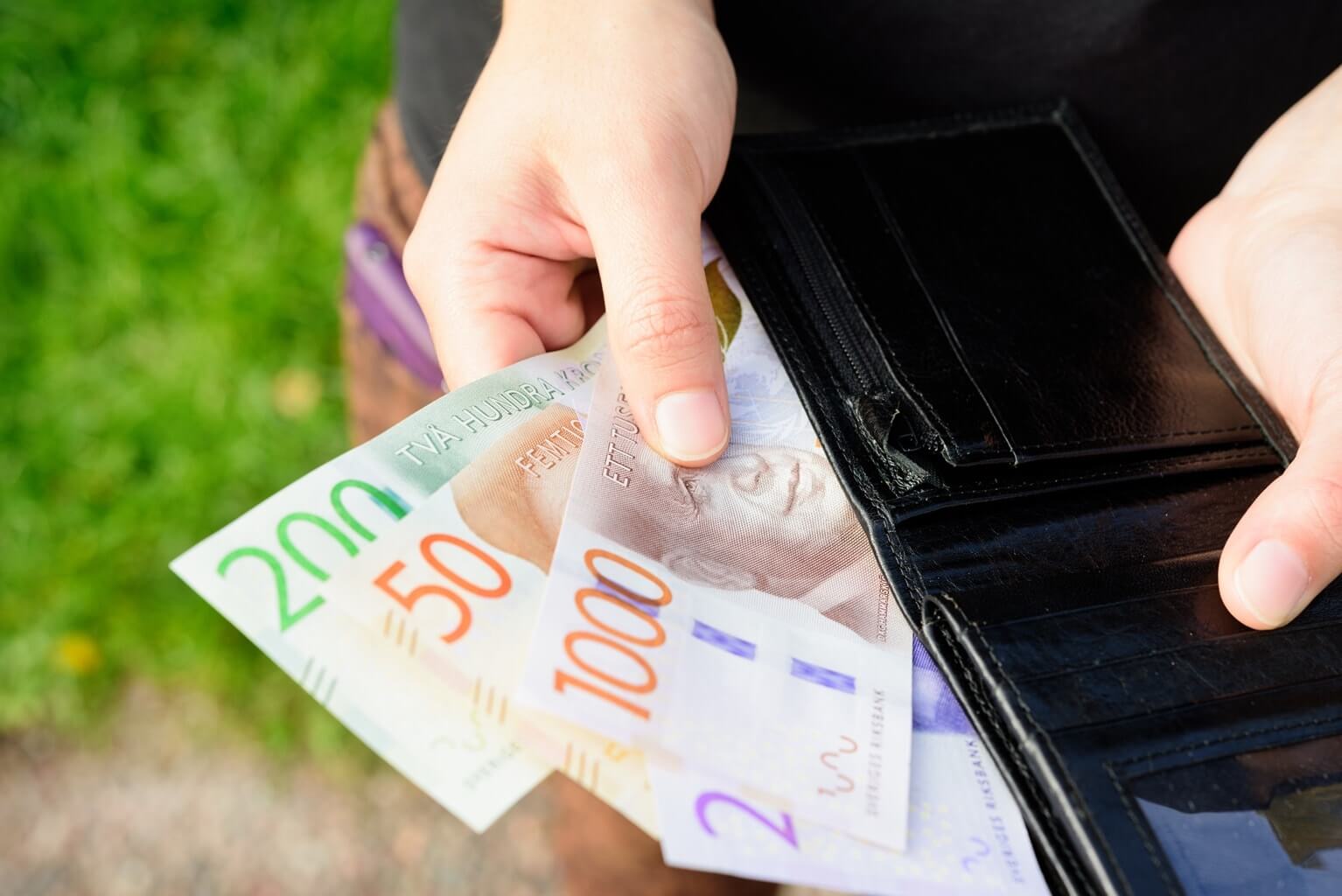 Monnaie suédoise