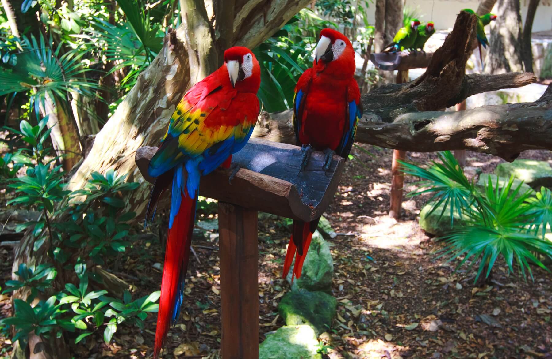 Loisirs et détente au Mexique : Parc d'attraction