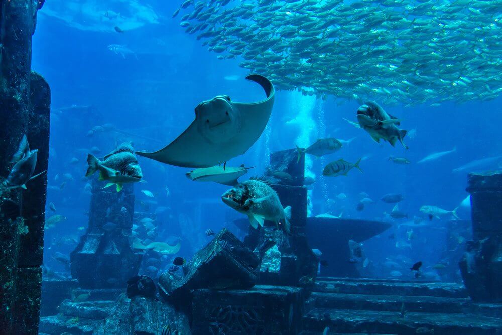 visiter dubai