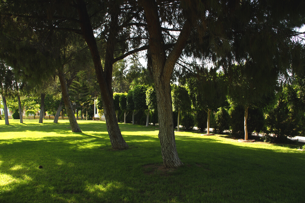 visiter Chypre