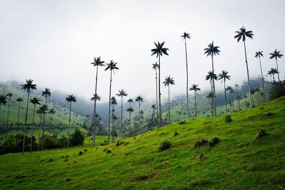 climat en Colombie