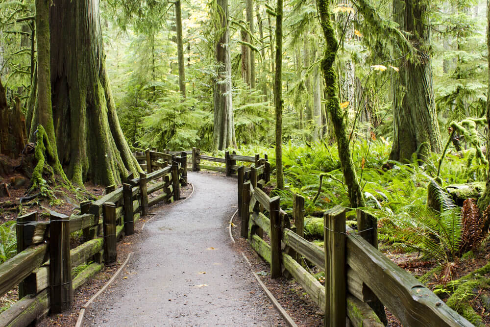 visiter vancouver