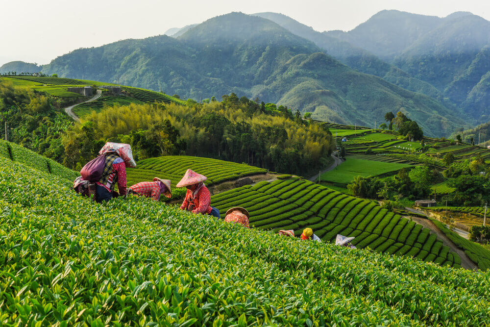 climat à taiwan