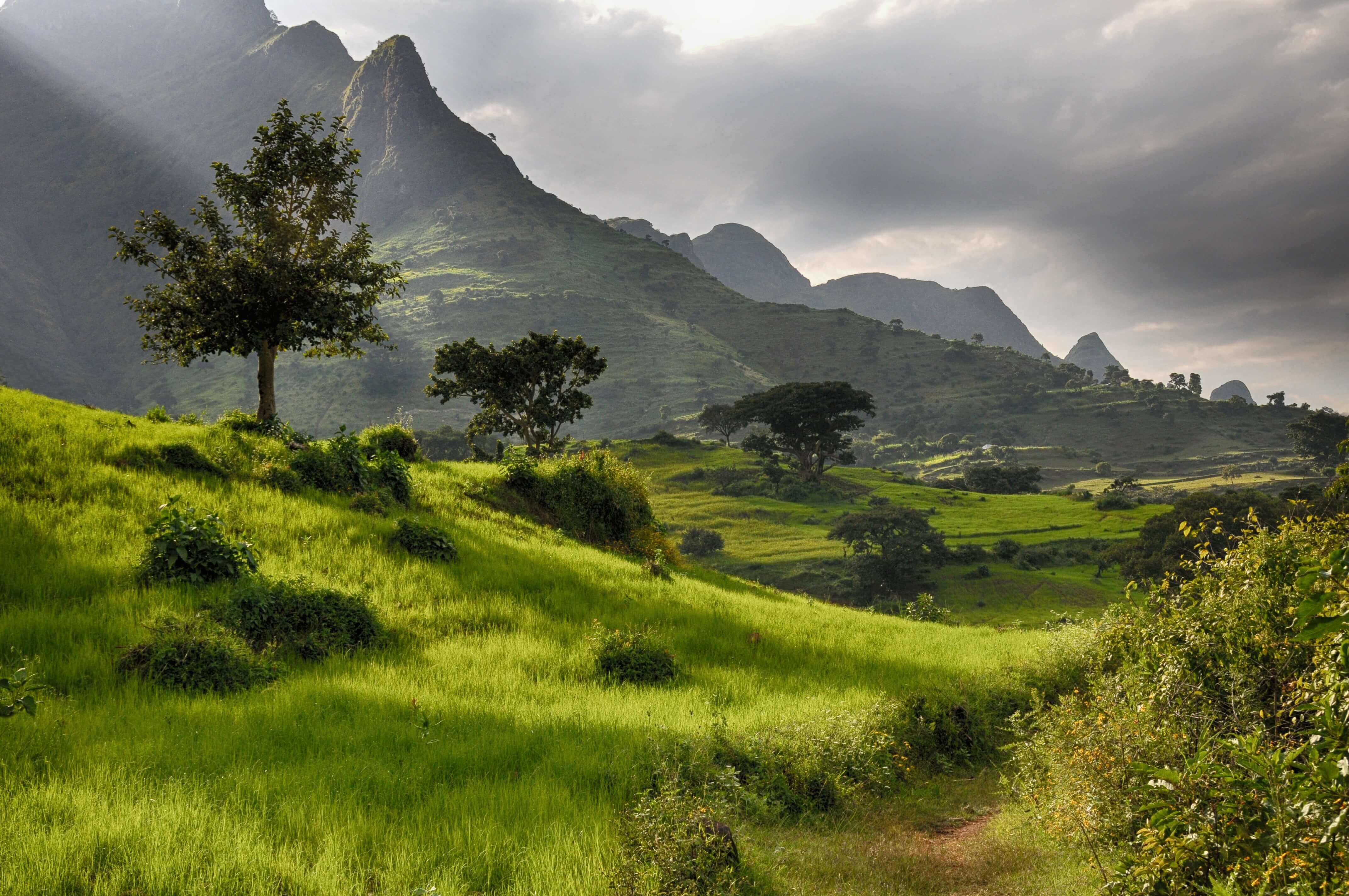 climat en Ethiopie