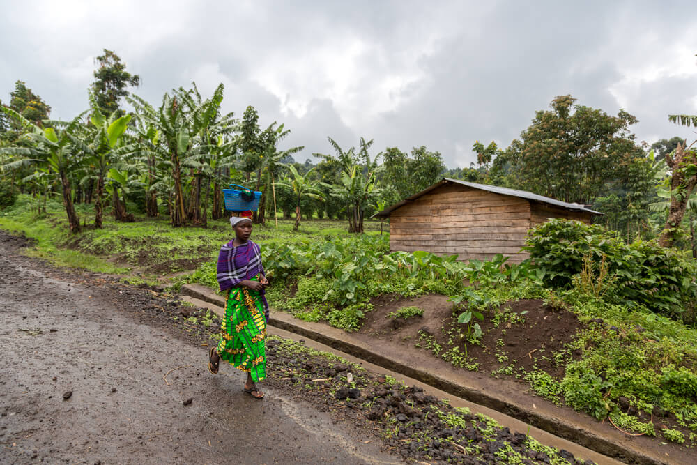 visiter le Congo