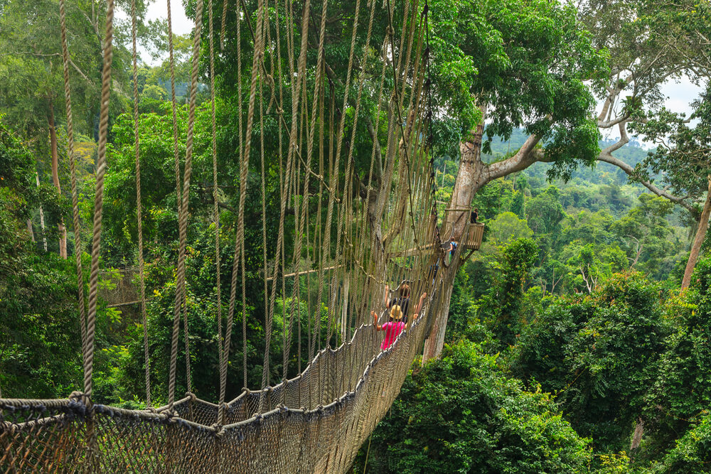 parc national ghana