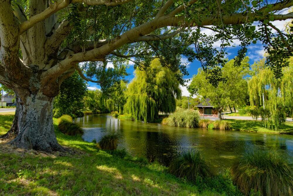 visiter Christchurch