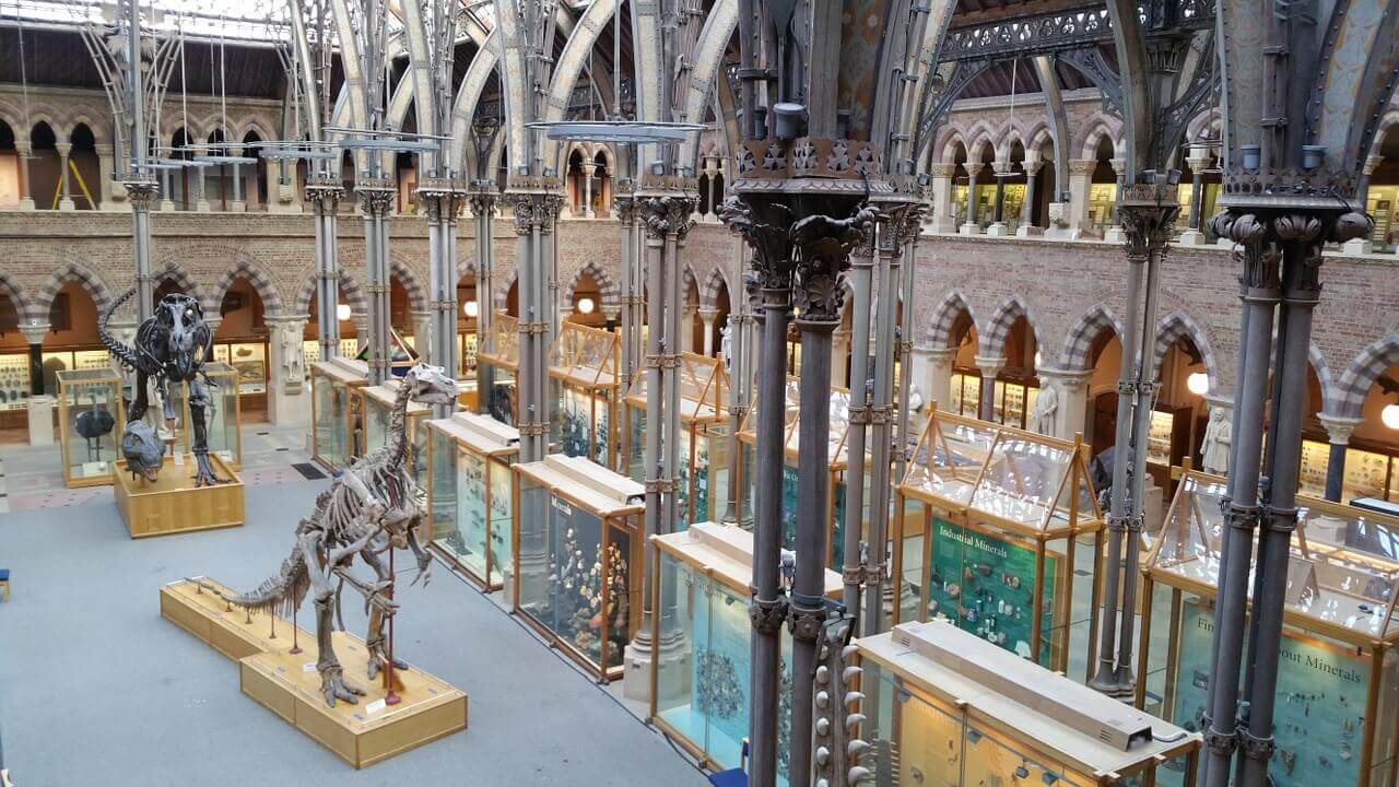 Musée d'histoire naturelle de l'université à Oxford