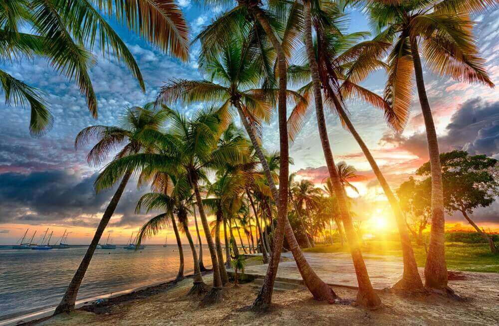 Visiter la Guadeloupe