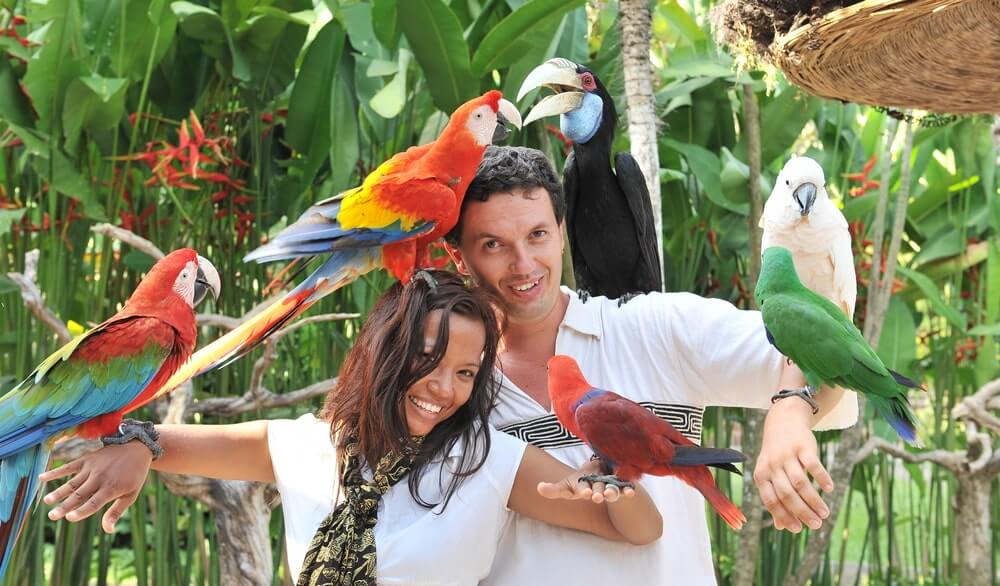 Bali Bird Park