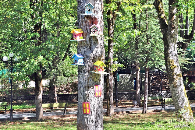 Parcs nationaux et sites naturels en Géorgie 