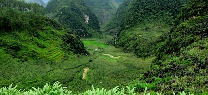 Trik Trak Trek : Kloobou au Vietnam