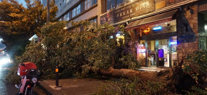 Le récit d’une journée cauchemardesque au cœur du typhon