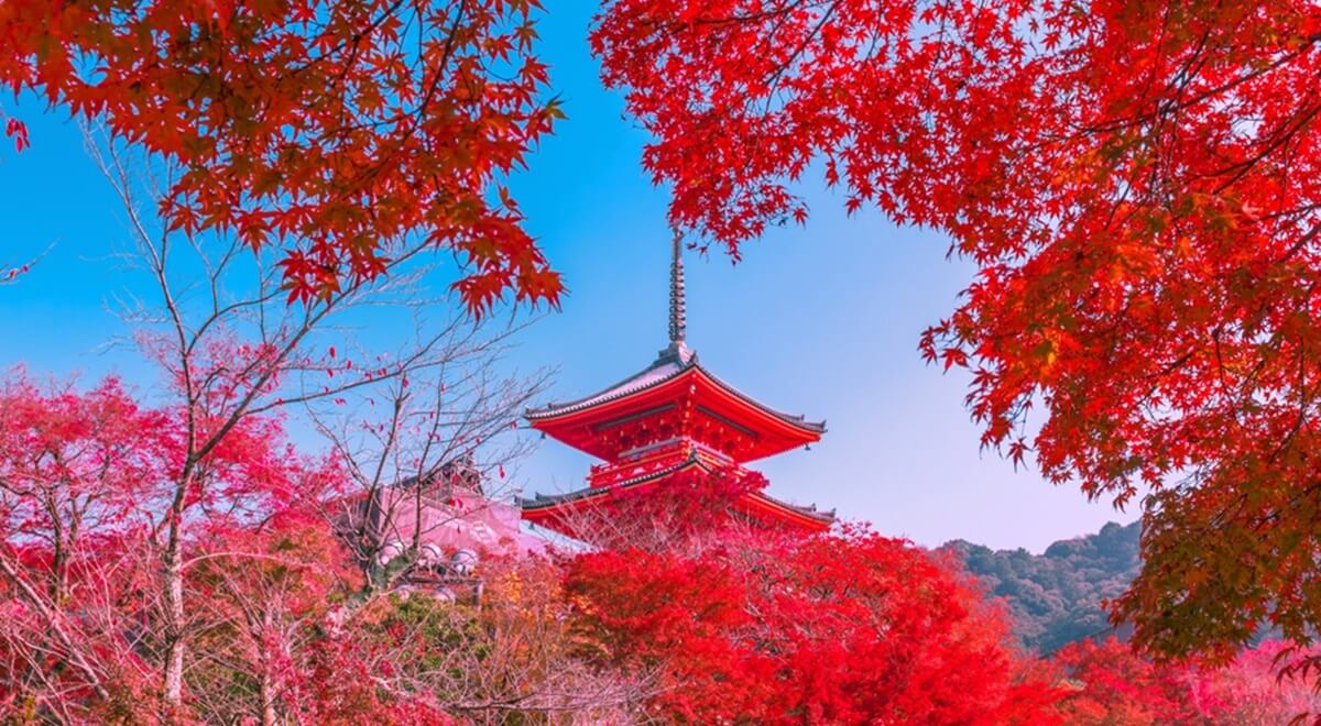 Les 7 conseils pour voyager pas cher au Japon