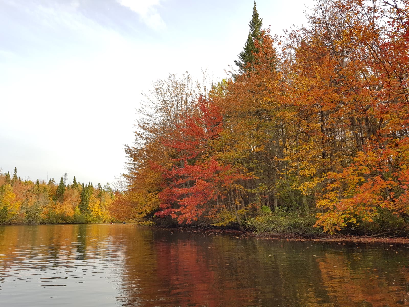 Pâtissière au Québec